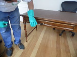 Dedetização Cupim em Móveis