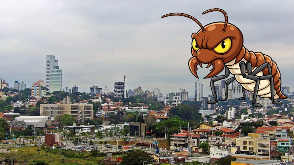Cupins em Jundiaí