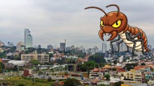 Cupins em Jundiaí