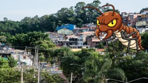 Cupins em Osasco