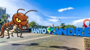 Cupins em Santo André