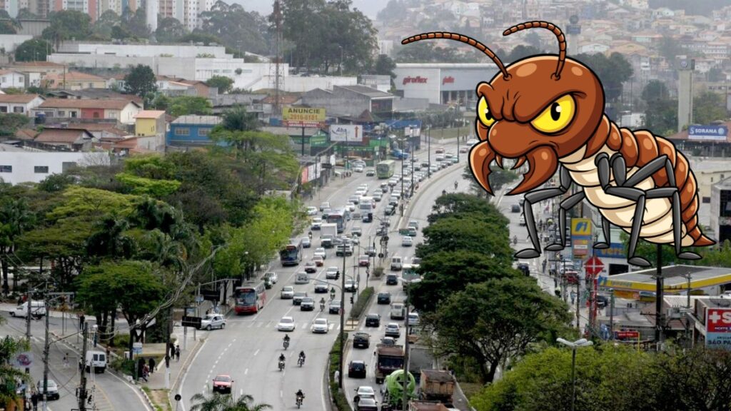 Cupins em Taboão da Serra