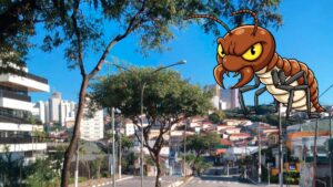 Cupins na Zona Oeste