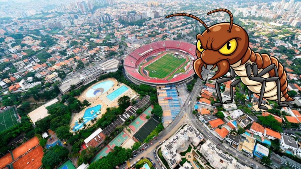 Cupins no Morumbi